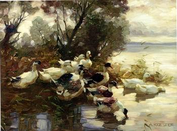 unknow artist Ducks 095 oil painting image
